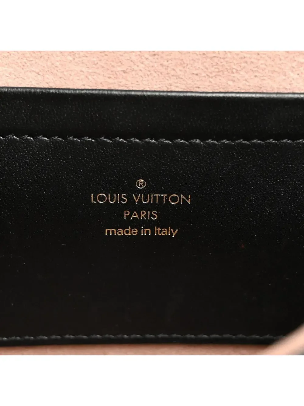 Louis Vuitton Lambskin Embossed #339424L19B